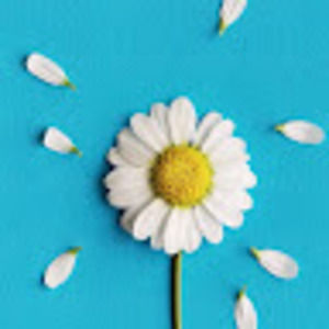 Meet your Posher, Samara